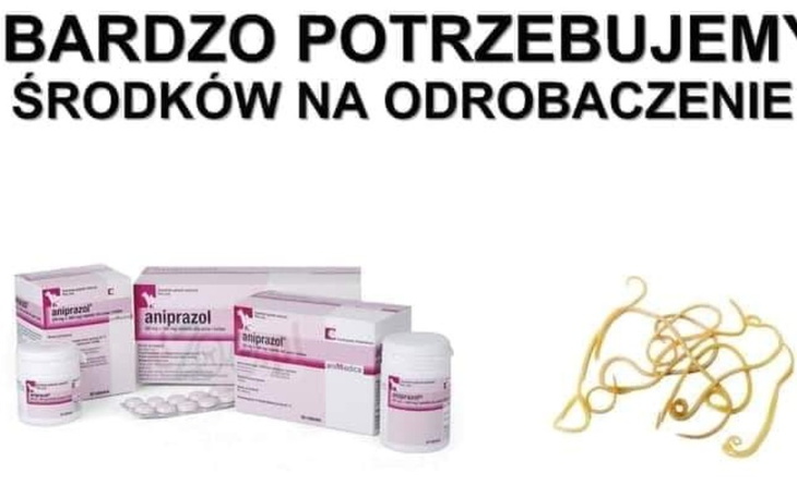 Zbiórka Odrobaczanie podopiecznych - zdjęcie główne