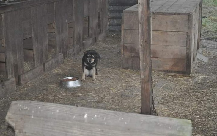 Zbiórka Zmiana patologicznego systemu - zdjęcie główne