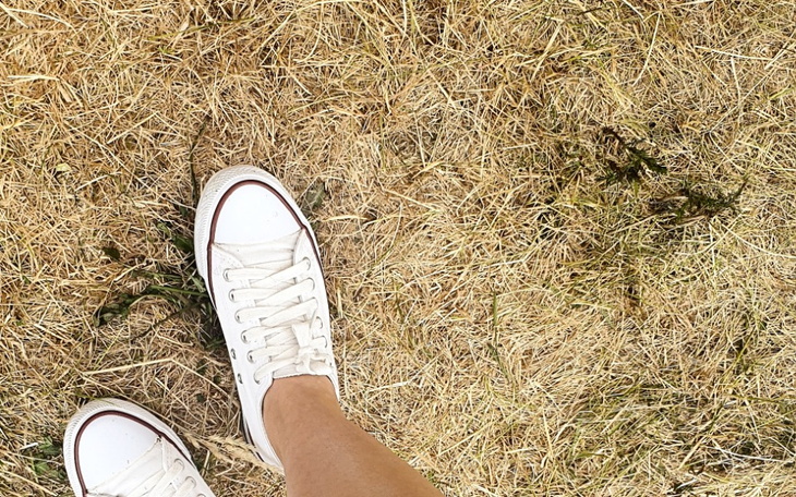 Zbiórka Życie bez długów. - zdjęcie główne