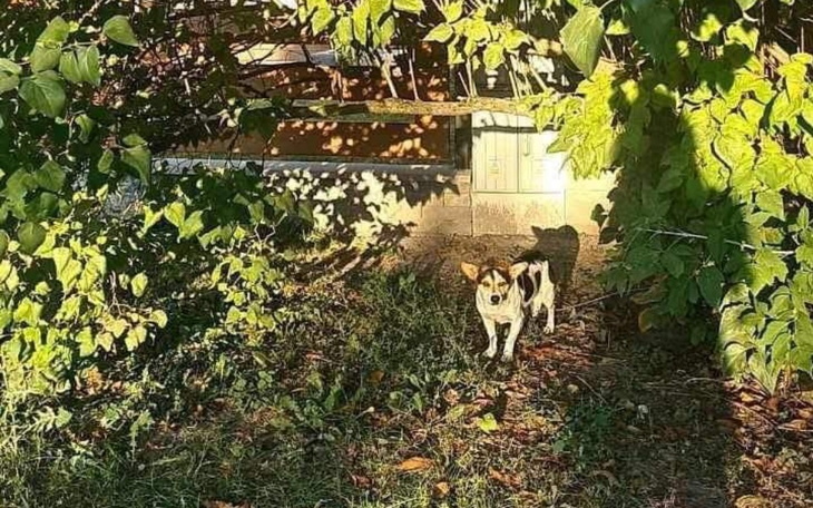 Zbiórka Walka o niechciany spadek - zdjęcie główne