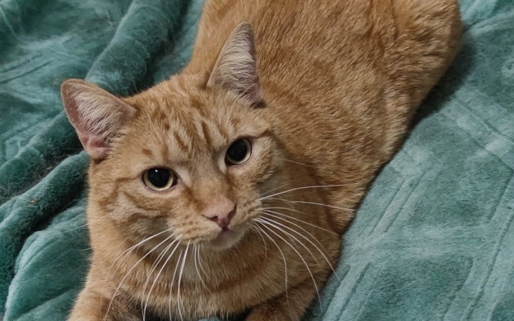 Zbiórka Na podróż Rudego na Swoje - zdjęcie główne