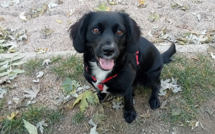 Zbiórka Pomóżmy spędzić zimę w ciepłe - zdjęcie główne