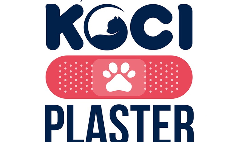 Zbiórka Pomóż byśmy pomagali - zdjęcie główne