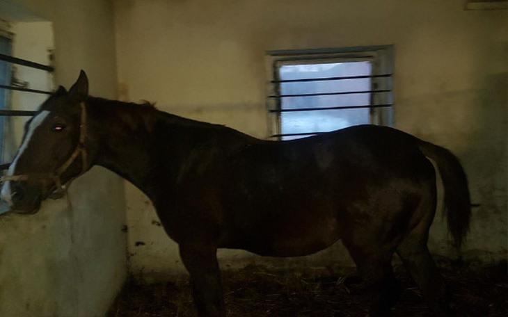 Zbiórka 24h aby ocalić matkę i córkę. - zdjęcie główne