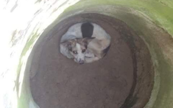 Zbiórka Leon wrzucony do studni - zdjęcie główne