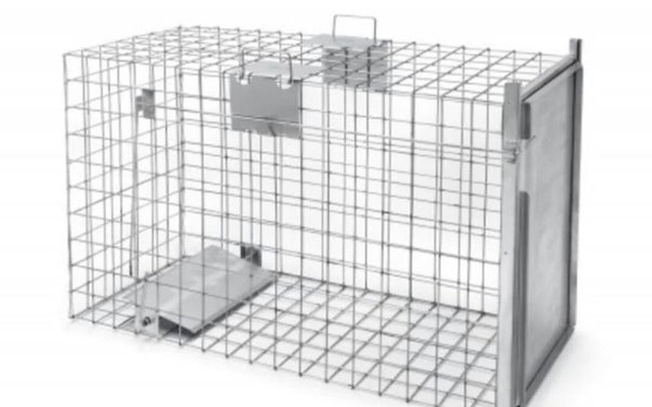 Zbiórka Klatka łapka na psy - zdjęcie główne