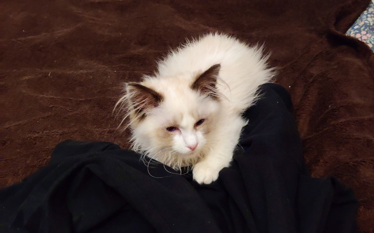 Zbiórka Pomóż Selimowi funkcjonować - zdjęcie główne