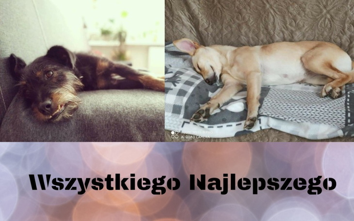 Zbiórka Na dalszą działalność fundacji - zdjęcie główne