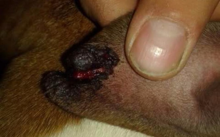 Zbiórka Pomoc dla Aury - zdjęcie główne