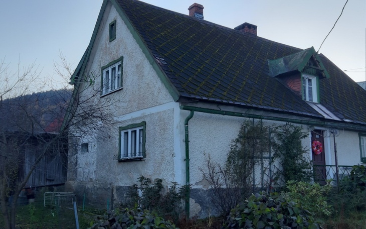 Stary dom z zielonymi detalami w otoczeniu roślin.