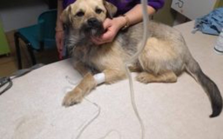 Zbiórka Wypłoszka - zdjęcie główne