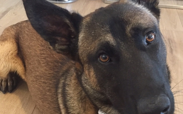 Zbiórka Ratujmy NATO - zdjęcie główne