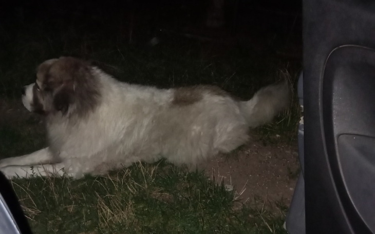 Zbiórka Pomoc dla Oliwi Środa Wlkp - zdjęcie główne