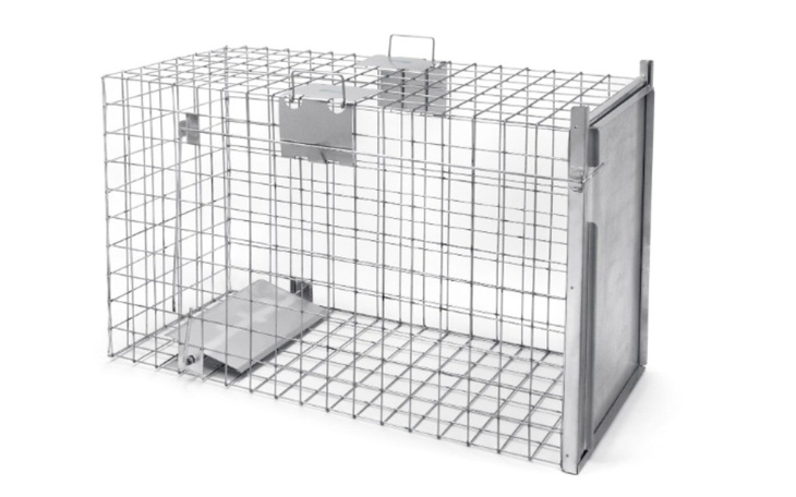 Zbiórka Klatki łapki dla psów i kotów - zdjęcie główne