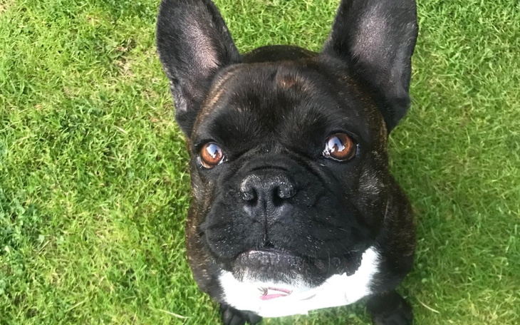 Zbiórka Pilna operacja Mojej Loli - zdjęcie główne