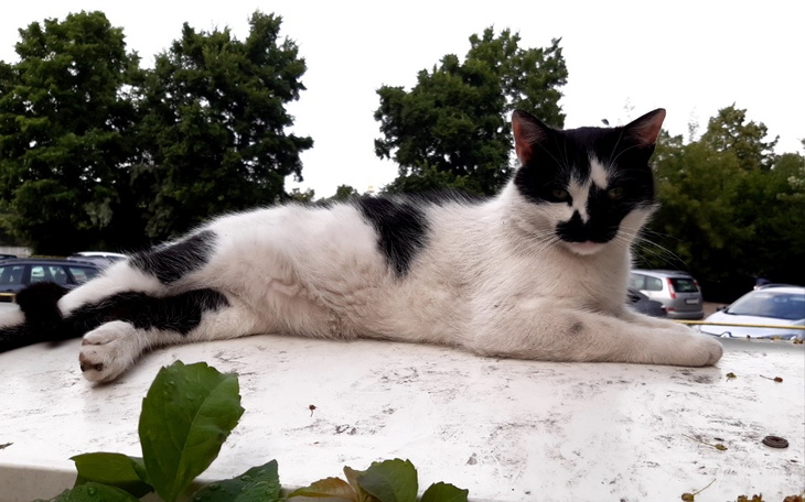 Zbiórka nagroda pieniężna - zdjęcie główne