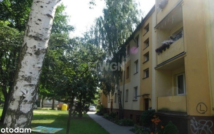 Zbiórka Pomóż mi wywalczyć lepsze jutro - zdjęcie główne