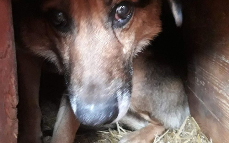 Zbiórka Chcę jeszcze uwierzyć - zdjęcie główne