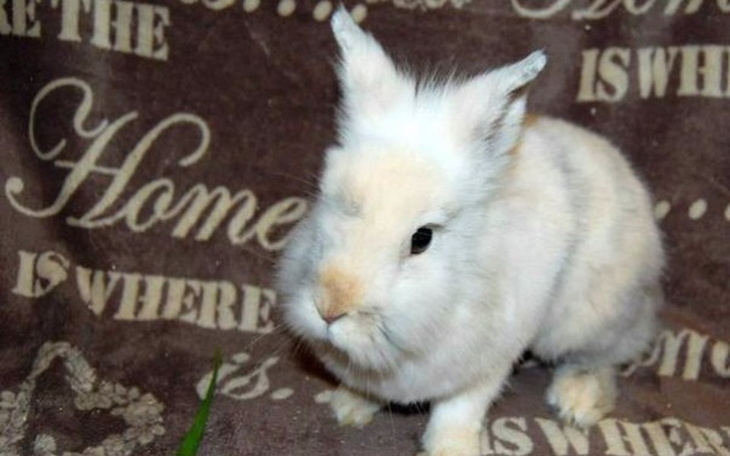 Zbiórka Zbiórka dla SPK ! - zdjęcie główne