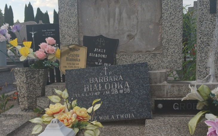 Zbiórka Wymiana pomnika Dziadkom i mamie - zdjęcie główne
