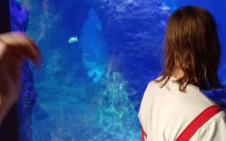 Zbiórka Prezent dla rodziny2 - zdjęcie główne