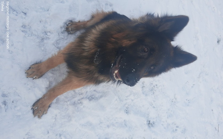 Zbiórka Pomóż mi rozwijać pasje... - zdjęcie główne