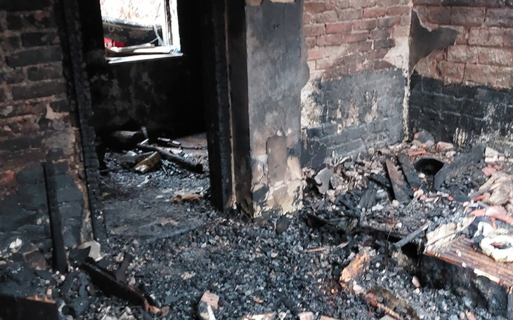 Zbiórka Odbudowę pasieki gucio - zdjęcie główne