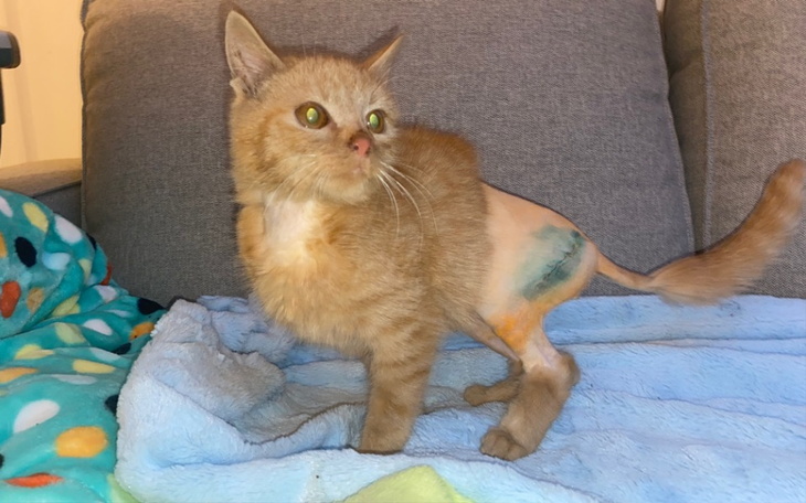 Zbiórka Połamany Hubercik - zdjęcie główne