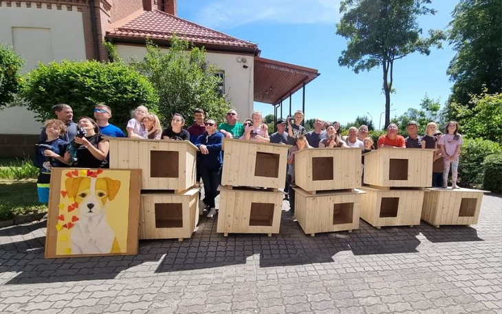 Zbiórka Daj piątaka na domek dla psiaka - zdjęcie główne