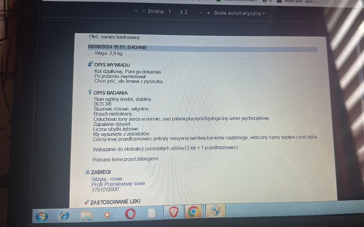 Zbiórka Na leczenie kota z działki - zdjęcie główne