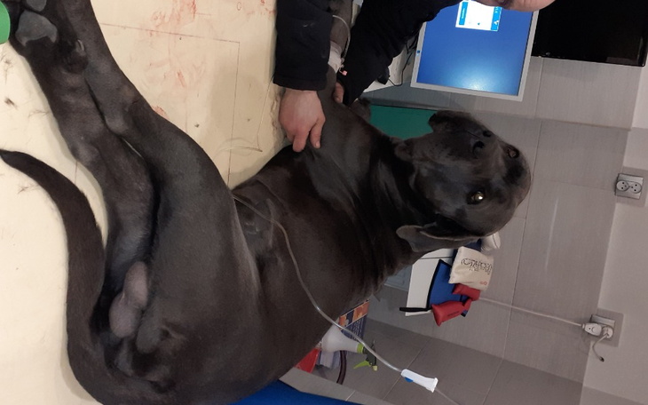 Zbiórka Operacja Bruce King - zdjęcie główne