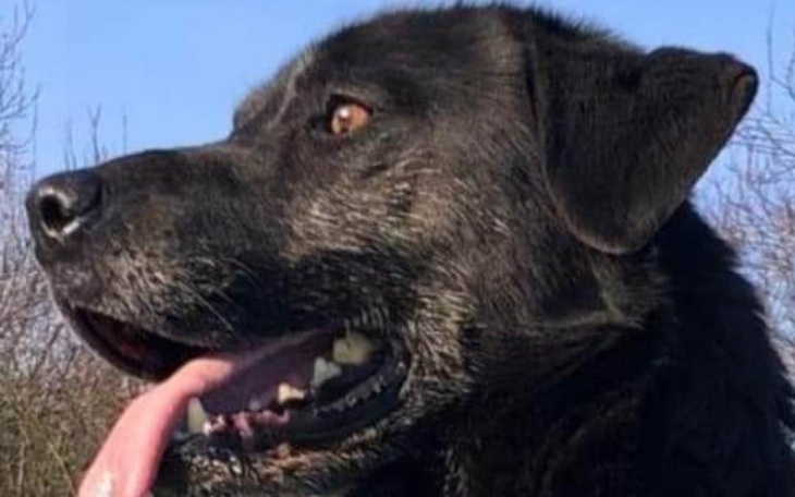 Zbiórka Ratunek dla Portosa - zdjęcie główne