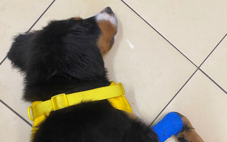 Zbiórka Leczenie małej Abi - zdjęcie główne