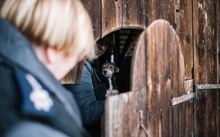 Zbiórka Na pomoc skrzywdzonym zwierzętom - zdjęcie główne