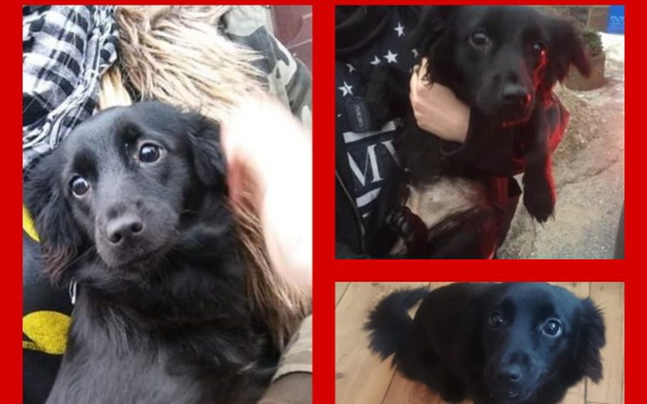 Zbiórka Nie chcę nigdy rodzić...Pomóżcie - zdjęcie główne