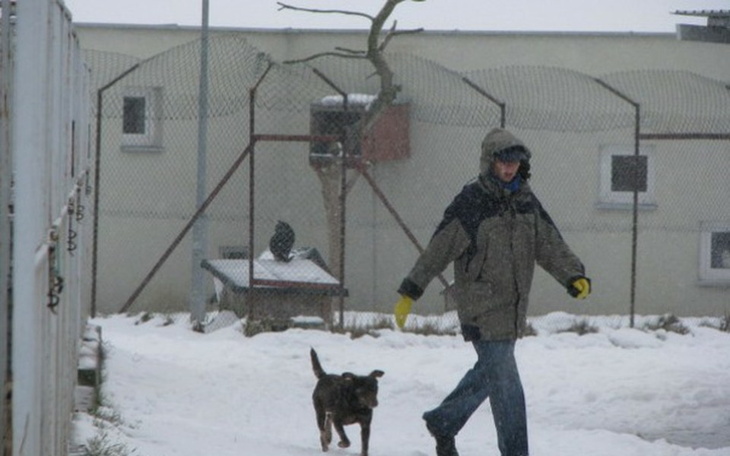 Zbiórka Schronisko dla zwierząt Stargard - zdjęcie główne