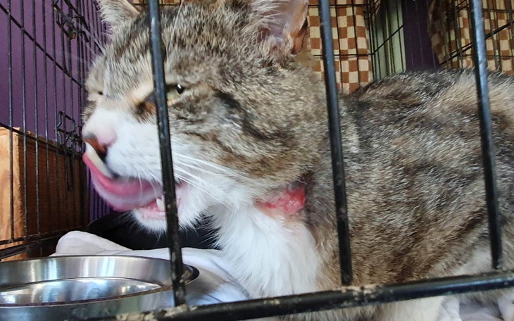 Zbiórka Na ratunek dla bezdomników. - zdjęcie główne