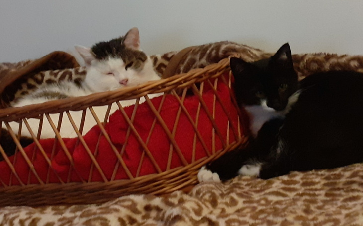 Zbiórka Wiara w ludzkie serca - zdjęcie główne