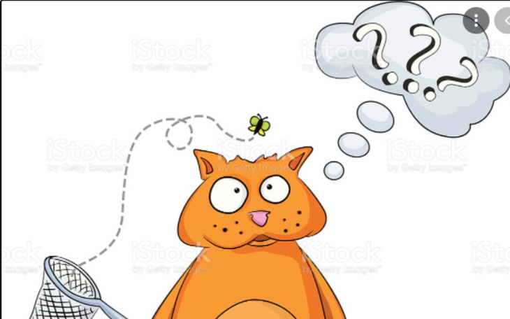 Zbiórka Wyjazd na wakacje dla Przyjaciel - zdjęcie główne