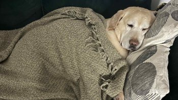 Zbiórka Ten co pomaga, sam pomocy wymaga - miniaturka zdjęcia