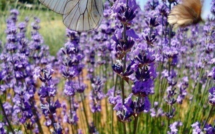 Zbiórka Witam mam 21 lat proszę o pomoc - zdjęcie główne