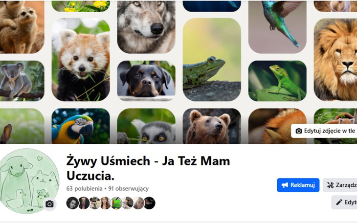 Zbiórka wsparcie zwierząt w Polsce - zdjęcie główne