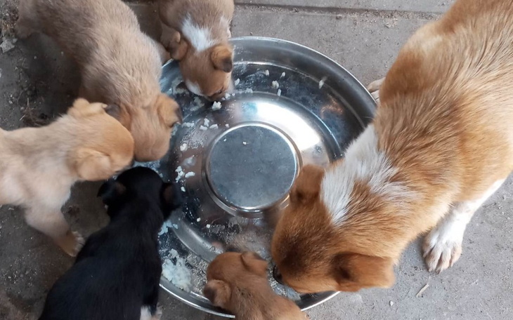 Zbiórka Bo nikt nie chciał pomóc - zdjęcie główne
