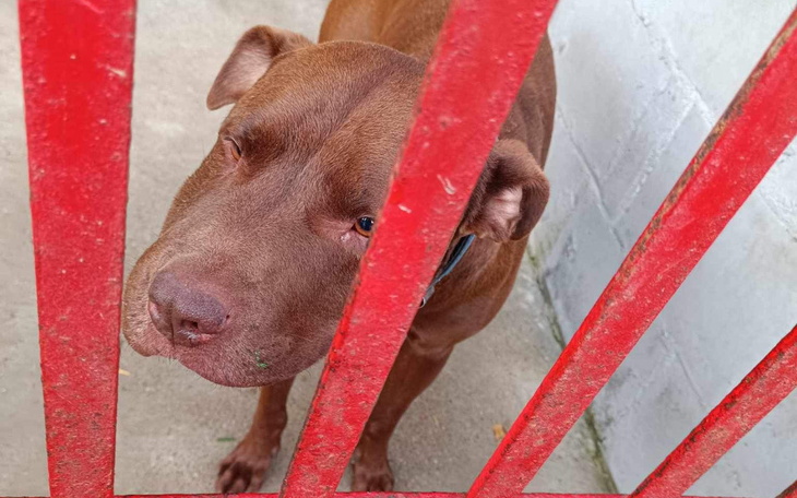 Zbiórka CHŁONIAK czy to znaczy śmierć - zdjęcie główne