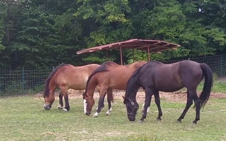 Zbiórka Opłata za życie - zdjęcie główne