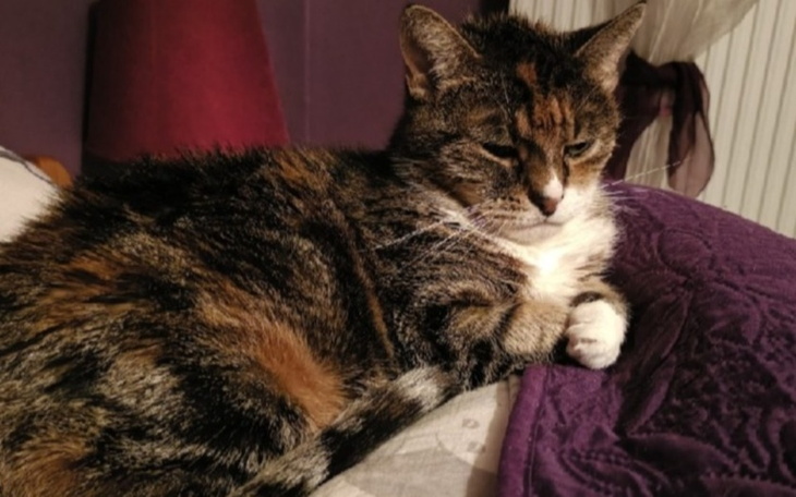 Zbiórka Dla chorej Milejdusi - zdjęcie główne