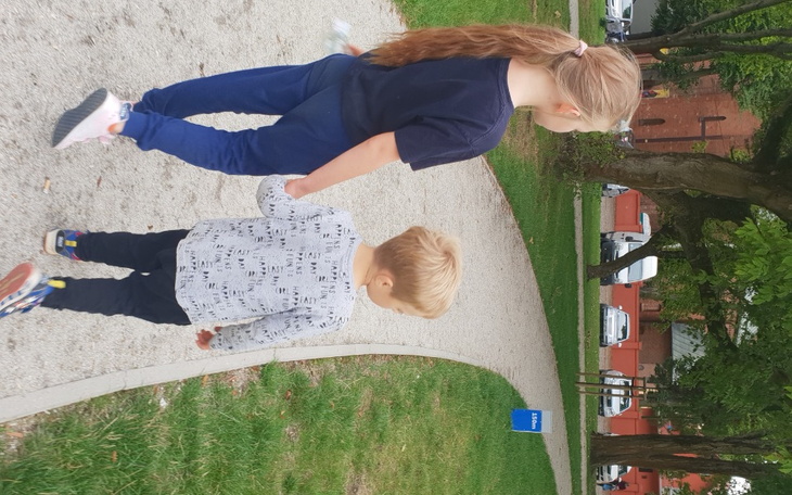 Zbiórka Samotna przyjaciółka-matka - zdjęcie główne