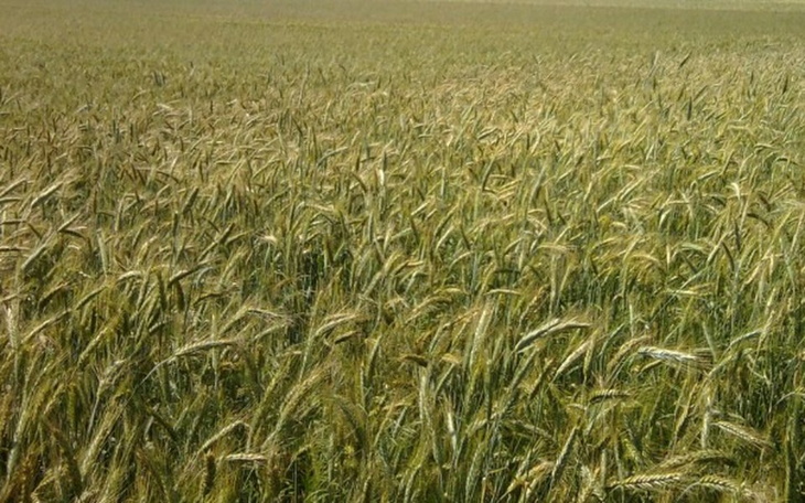 Zbiórka Powiększenie małego gospodarstwa - zdjęcie główne