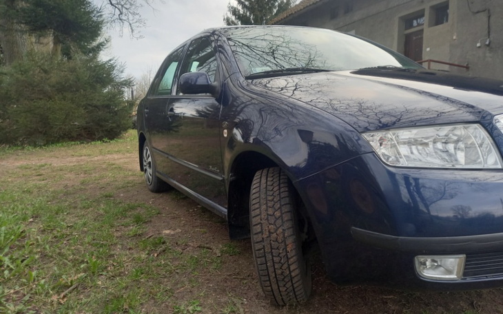 Zbiórka Pomóż jej dożyć sędziwego wieku - zdjęcie główne