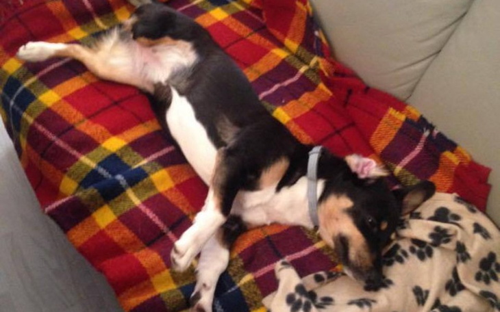 Zbiórka Endoproteza dla Tosi - amputacja - zdjęcie główne